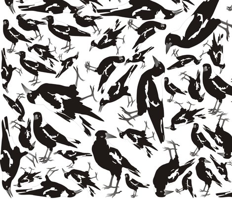 Magpie_4