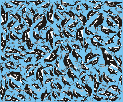 Magpie Oasis