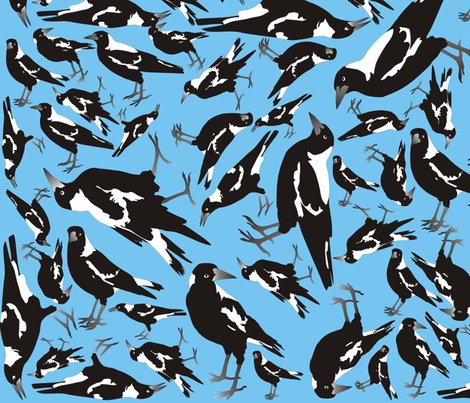 Magpie_blue