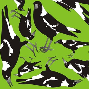 Magpies on Grass