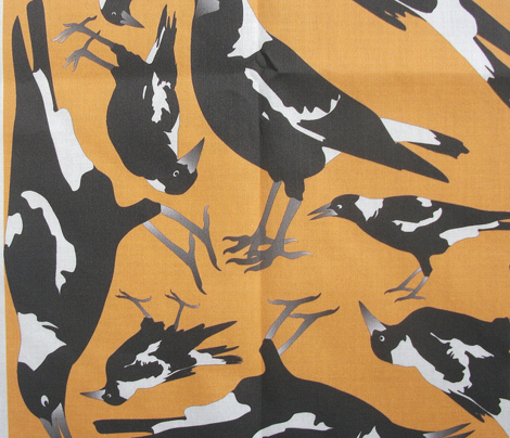 Magpie_orange
