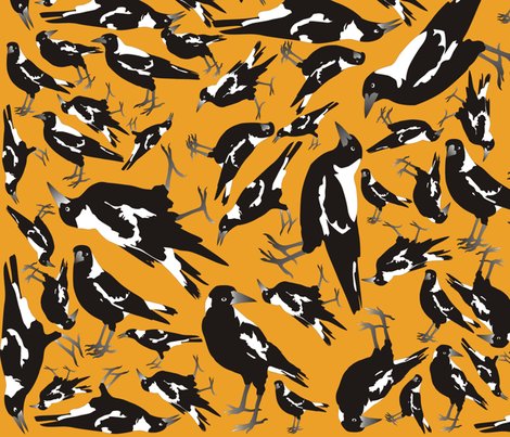 Magpie_orange