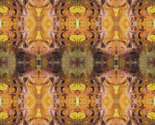 Autumn_leaves_thumb