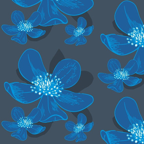 Anemone