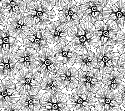 My garden-in black and white.