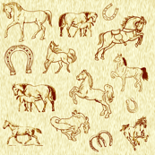 horses