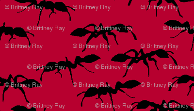 The Ants Go Marching