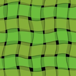 woven_ribbon-green
