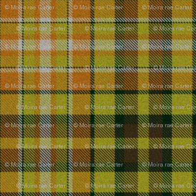 September Tartan