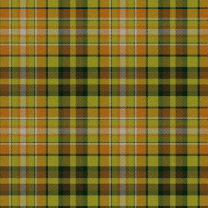 September Tartan