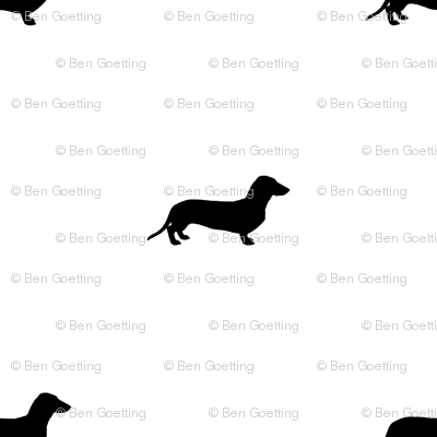 Dachshund Dots Black