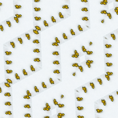 Leaves in the snow