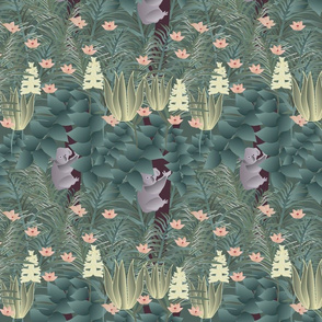 koala