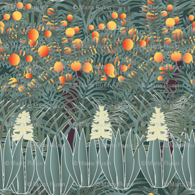 orange tree 3