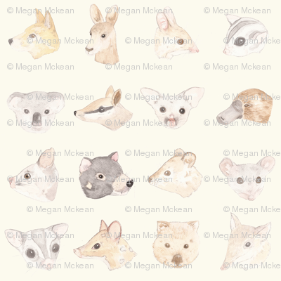 Australian Mammals