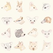 Raustraliananimals_shop_thumb