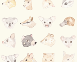 Raustraliananimals_thumb