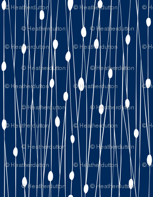 Entangled Navy