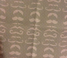 Rmustache_graydk_comment_265296_thumb