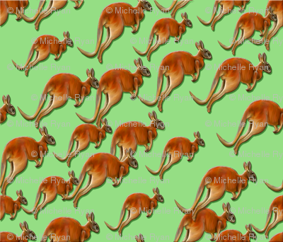 Roos