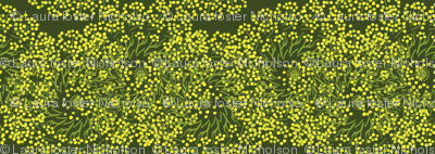Dill dots