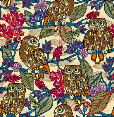 My boobooks,Australian owls.