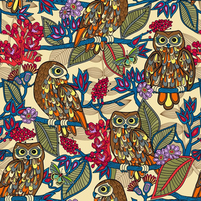 My boobooks,Australian owls.