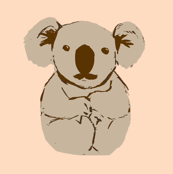 koala