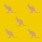 roo