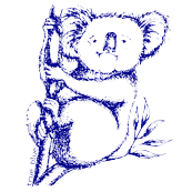 True Blue Koala