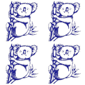 True Blue Koala