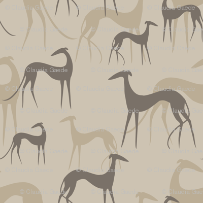 sighthounds coffee