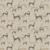 Galgotuch-caffee_shop_thumb