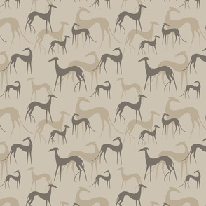 sighthounds coffee