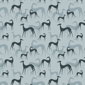 sighthounds blue