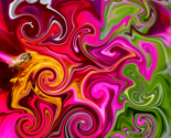 Groovy bee pink