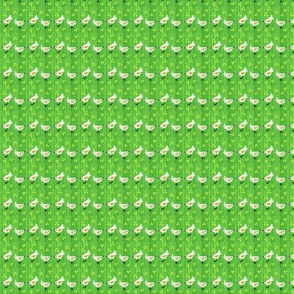chicks - Stripe