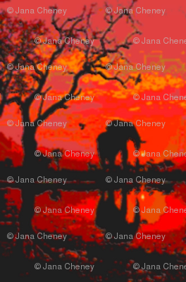 African sunset