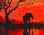 African sunset