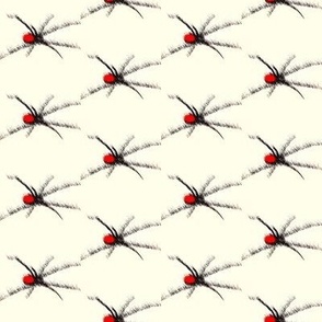 Redback-spider-australia