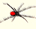 Redback-spider-australia