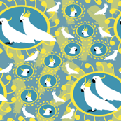 Sulfer Crested Cockatoos - Solid Background (no feathers)