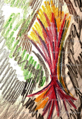 feathers 5