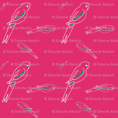 Rosella