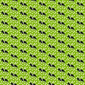 Gypsy horses - bright green