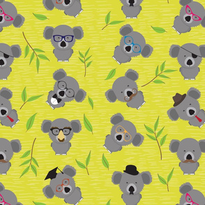 Incognito Koala (AKA Dropbear)