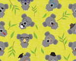 Incognito Koala (AKA Dropbear)