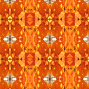African Orange Abstract