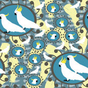 Sulfer Crested Cockatoos in Blues