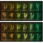 Dancing Lady, Pastels